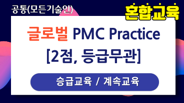 글로벌 PMC Practice